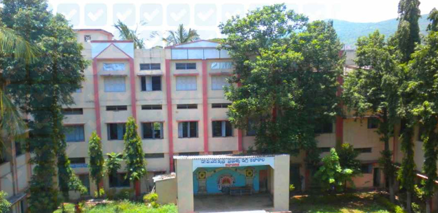 Dr. V.S. Krishna Govt. PG College
